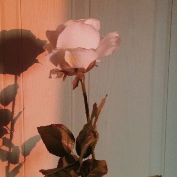 Meet your Posher, Briana - Picture 1 of 1